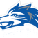 koyotes