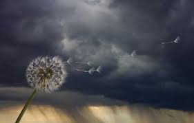storm.jpg