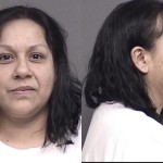 Name: Robles Luna,Verna Lissa
Charges:
Driving while habitual violator