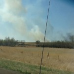 4-21 grass fire