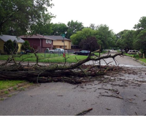 The storm did damage to trees in many areas of central Kansas.- Photo Dewey Terril JC Post