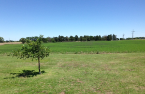 farm land