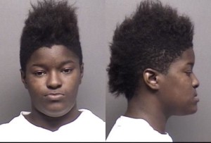 Braxton, Caurice Fannie Mae -
Making False Information;
Theft by deception, Value less than $1,000
