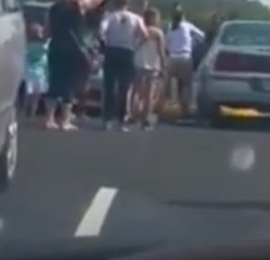 photo of the rescue Karamel Krissty