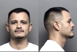 Guebara, Andrew Sylvestre -
Probation Violation (2 Counts)