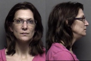 Ravenstien, Tami Lynn -
Probation Violation;
Theft of property or services, Value