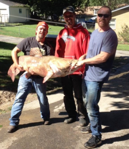 (Pictured Left to Right) Fisherman Mathew McConkey and his two friends Lloyd Kendal and Wes Coke hold the new 100-poind state-record falthead catfish.-photo Mo. Dept. of Conservation