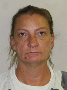 SMITH, TINA LOUISE -
Possession of certain stimulants (Methamphetamine, Bath Salt, Khat);
Distribute certain substances in 65-4105(h);
Use/possess w/intent to use drug paraphernalia into human body;
Taxation, Drugs, No drug tax stamp for marijuana or cont substance;
Use/possess w/intent to use drug paraphernalia into human body;
Burglary, Dwelling to commit felony, theft or sexually motivated crime;
Obstructing apprehension of pros, Registered offender to avoid registering;
Theft of property or services, Value less than $1,000