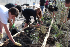 Eisenhower High School has an all-around approach to the Eco-Schools USA pathways, addressing 9 of the 10 paths. The school is also a Kansas Green School and a certified Monarch Way Station. Students spend an average of 125 minutes per week in outdoor learning, and the campus has 300 culturally significant plants and grasses in their outdoor space that’s cut the need for water. Eisenhower is also a Project Learning Tree Green School.