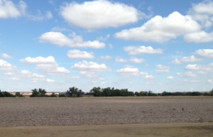 land crop farm 