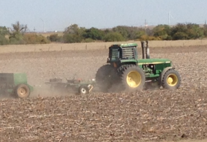winter wheat planting