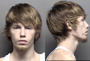 Shea, Tyler Lee -
Failure to appear (3 Counts)