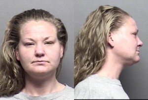 McGee, April Joy -
Domestic battery, Knowing rude physical contact w/ family member