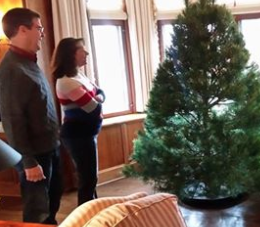 Christmas tree delivered today to Cedar Crest- Photo Kansas Governor
