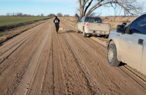 Game Warden and K9 Gypsy tracking a suspect's trail and searching for evidence in Ford County on Dec. 9, - photo KDWPT