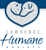 Screen Shot 2015-12-17 at 12.43.08 PM