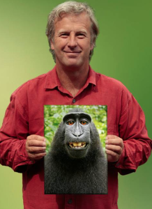 Wildlife photographer David Slater- courtesy photo