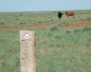 courtesy of Cimarron National Grassland/USDA
