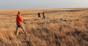 Photo - Kansas Department of Wildlife, Parks and Tourism