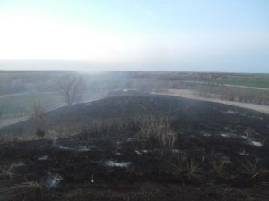 15 acres of land were damaged by the fire.