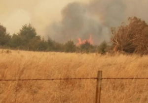 Harvey Co. fire on Wednesday