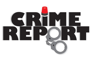 CrimeReport2
