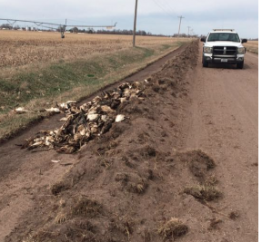 photo Merrick Co. Sheriff