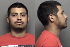 Silva, Samuel -
Driving While Suspended