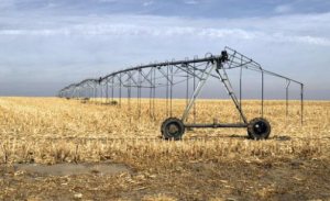 Gov. Sam Brownback has signed into law a bill allowing the executive branch to suspend indefinitely the water rights of Kansans who fail to file annual water use reports.