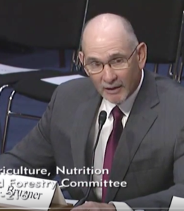 Kansan Tracy Brunner Testifies Before the Senate Ag Committee
