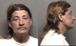 Davis, Rebecca Sue -
Probation Violation;
Failure to appear