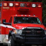 Animal blamed for single vehicle accident