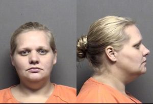 Homenyk, Beverly Jean -
Probation Violation (2 Counts)