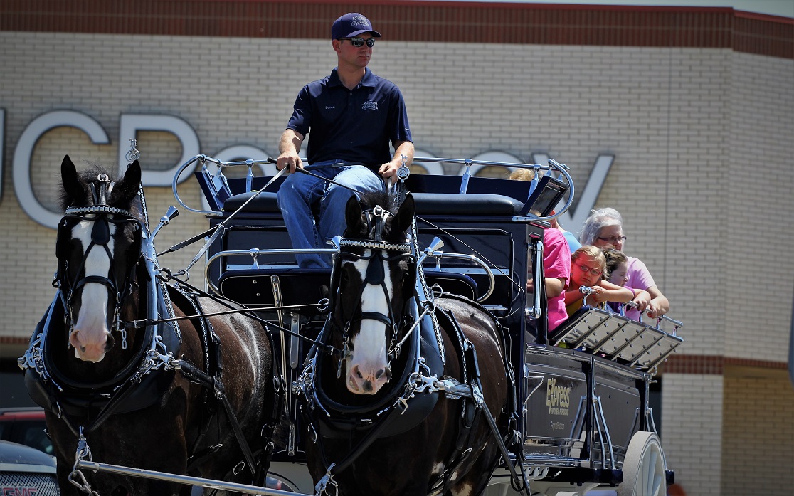 A ride with the Express Clydesdales The Salina Post