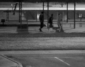 Three suspects believed to be involved-photo Wichita Police 