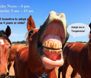 photo Bureau of Land Management