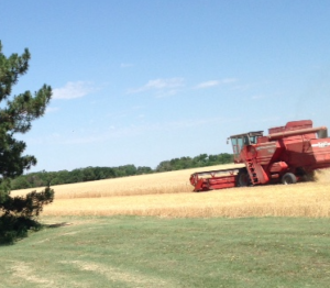 Screen Shot 2016-06-27 at 6.42.37 PM