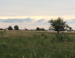 Scene of Friday's gyrocopter crash- photo courtesy KAKE