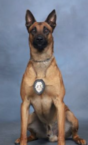 photo Topeka Police