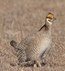 screen-shot-2016-09-13-at-4-24-00-pm