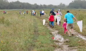 photo by Matt Tucker-courtesy Monarch Warch