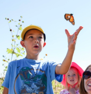 photos by Matt Tucker-courtesy Monarch Watch