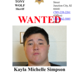 Sheriff: Wanted Kansas sex offender arrested in Alabama