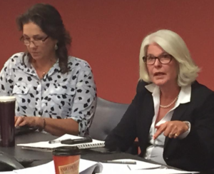 Photo by Jim McLean/KHI News Service Susan Fout, right, commissioner of behavioral health for the Kansas Department for Aging and Disability Services, addresses members of the Kansas Mental Health Coalition at a recent meeting. At left is Amy Campbell, lobbyist for the coalition.