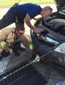 screen-shot-2016-10-10-at-9-46-12-am