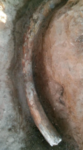 photo courtesy Alan Albers