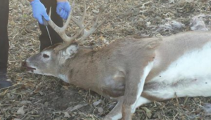 Photo KDWP&T Game Wardens in Riley County