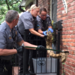 Kan. postal worker gets big surprise: Snake on the mailbox