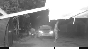 Photo courtesy Saline County Sheriff (Click to enlarge)