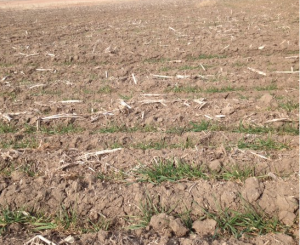 Screen Shot 2015-03-03 at 10.08.24 AM